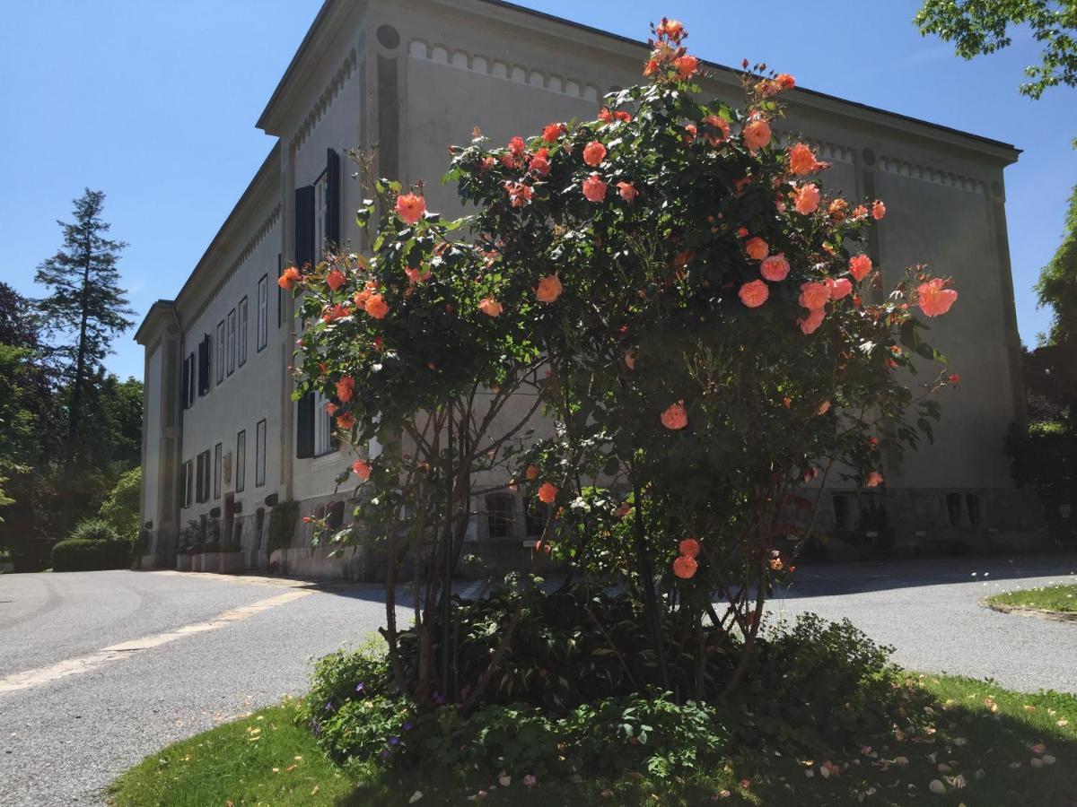 Red Flat By Grazrentals Direct By University & Free Parking Exterior photo